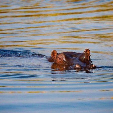 Zambezi Dusk Villa Ливингстън Екстериор снимка