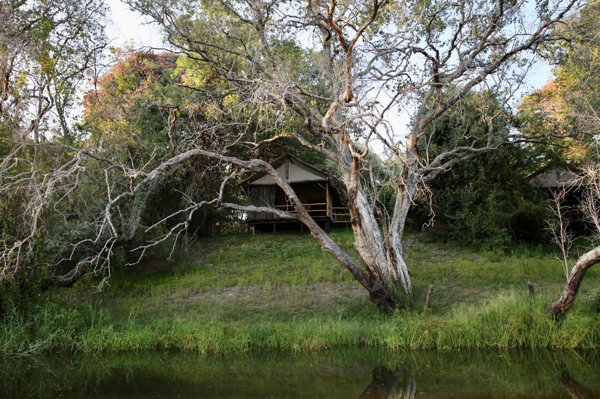 Zambezi Dusk Villa Ливингстън Екстериор снимка