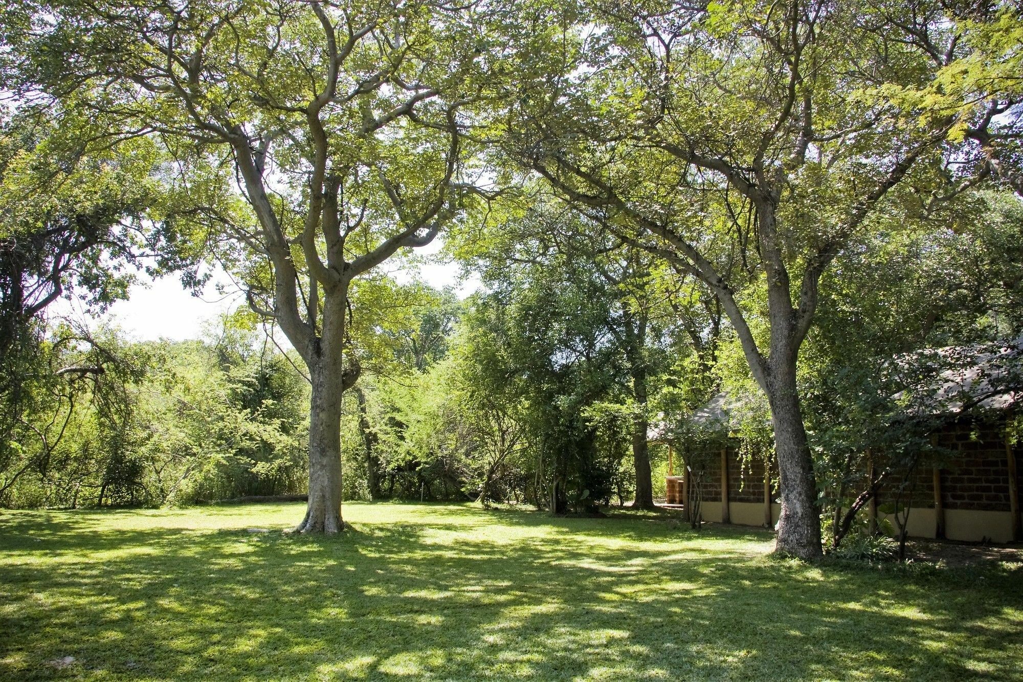 Zambezi Dusk Villa Ливингстън Екстериор снимка