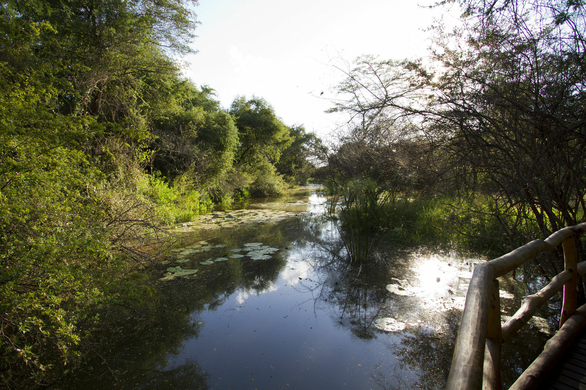 Zambezi Dusk Villa Ливингстън Екстериор снимка